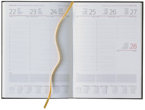 продажа, записные книжки, недатированные, еженедельники на 2011, MAESTRO, календари, Business, планинги, ежедневники, папки